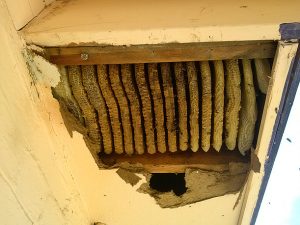 Hive removal prior to demolition job