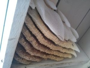 Open hive under eave
